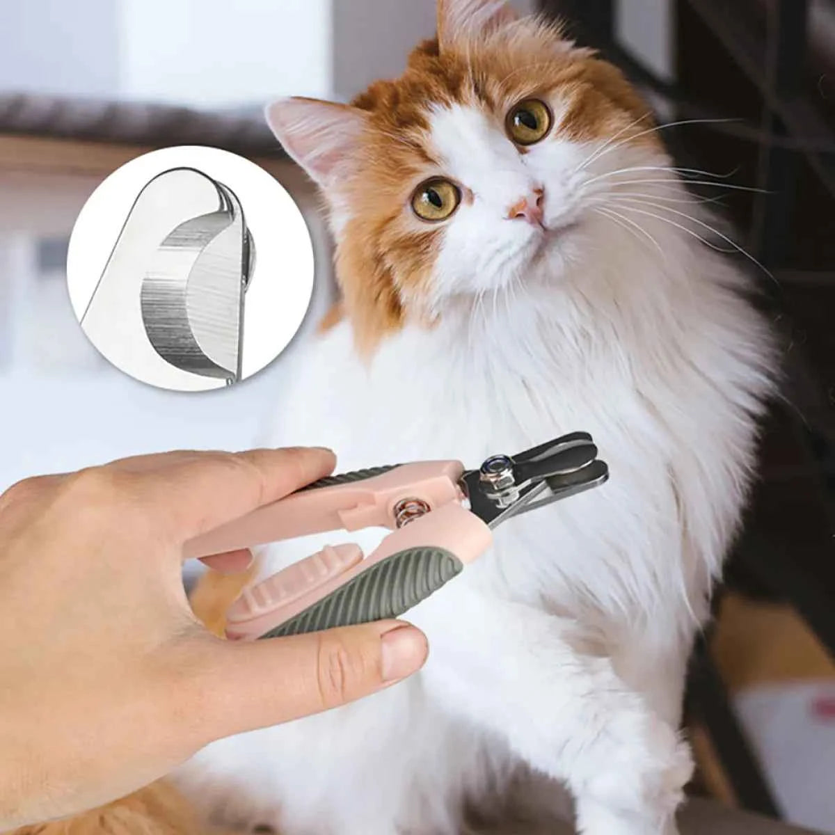 Professional Dog & Cat Nail Clipper - Petfables