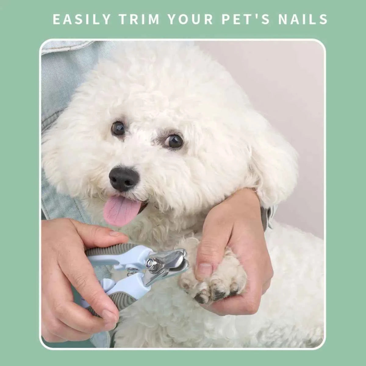 Professional Dog & Cat Nail Clipper - Petfables