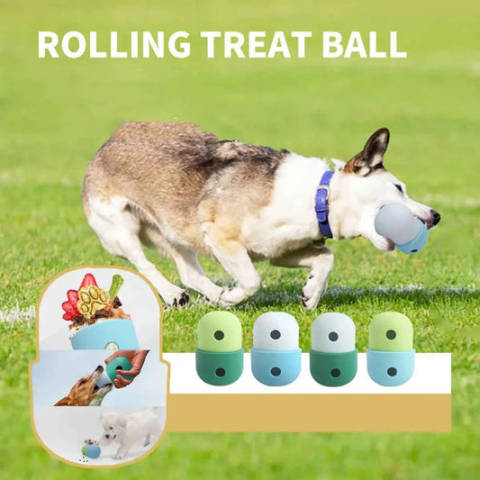 New 2-in-1 Dog Toy Ball - Petfables