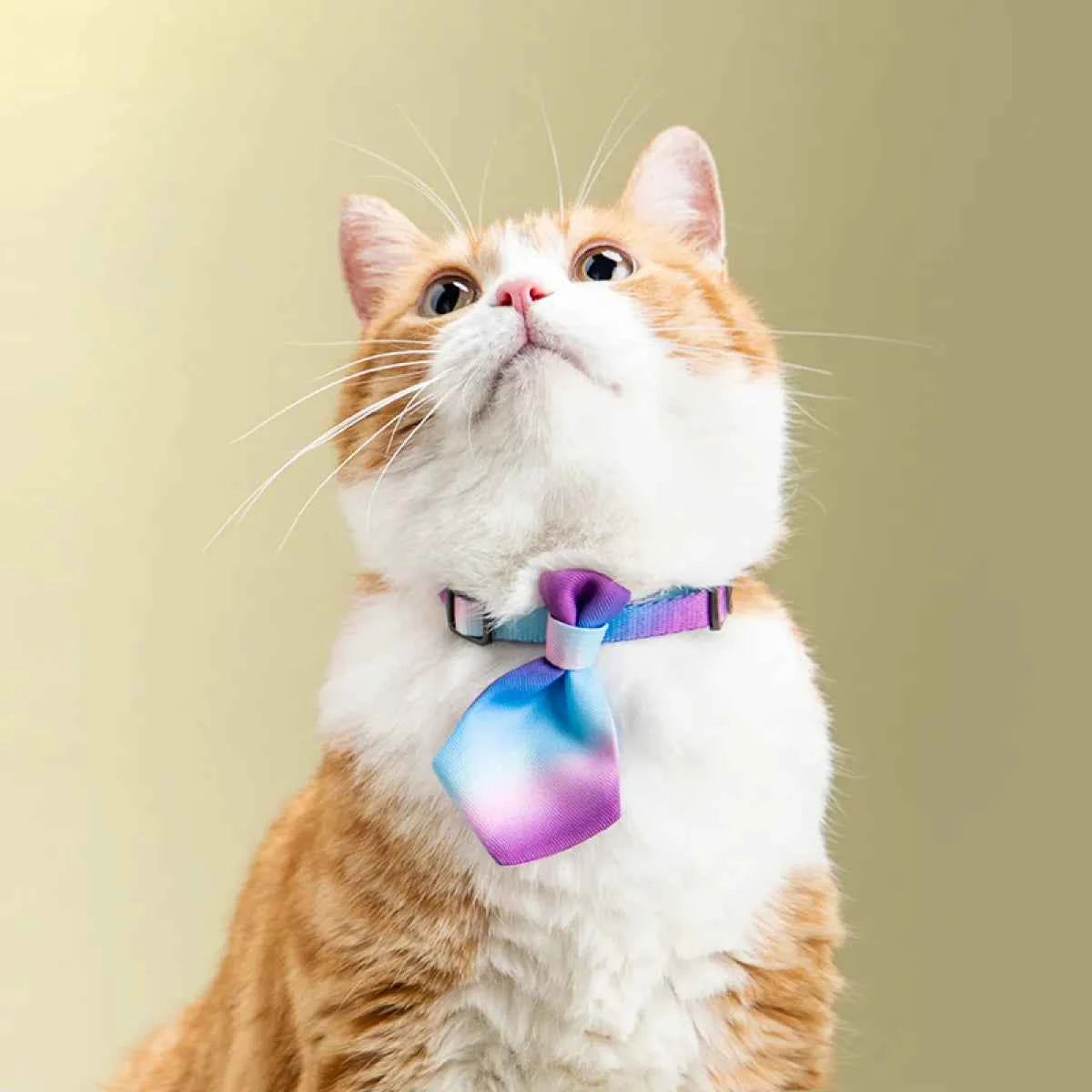 Adjustable Dog Gentleman Tie Collar - Petfables - Pet Fashion