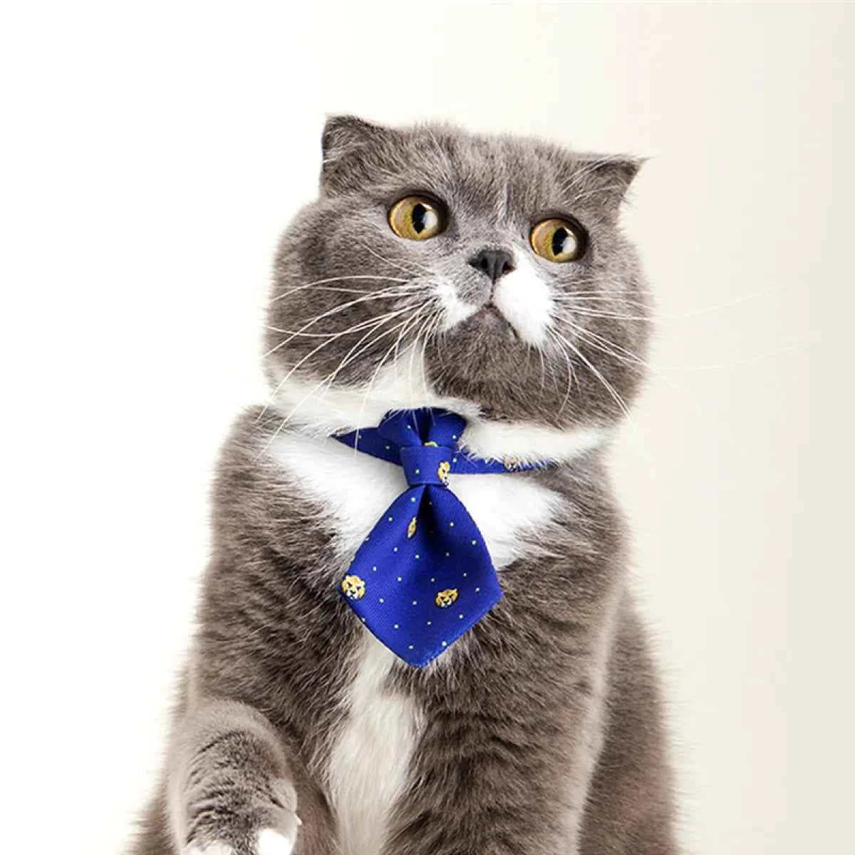 Adjustable Dog Gentleman Tie Collar - Petfables - Pet Fashion