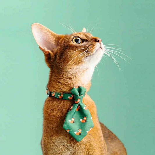 Adjustable Dog Gentleman Tie Collar - Petfables - Pet Fashion