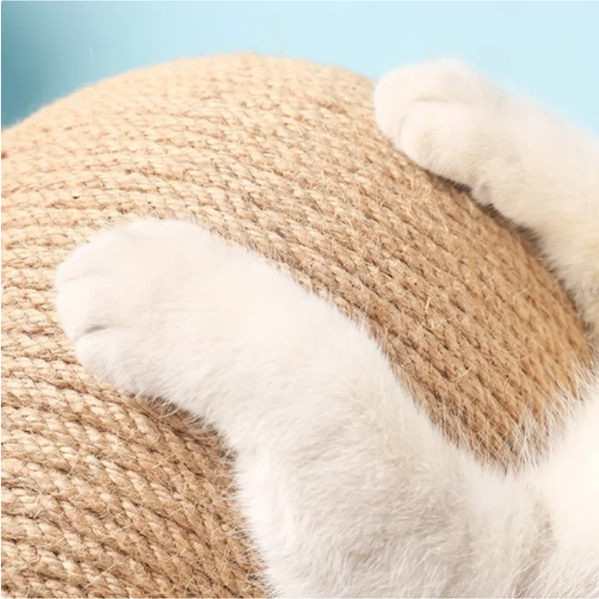 Durable Cat Scratching Post Frame - Petfables - Cat Scratching Ball Frame